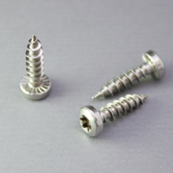 Pan Head (Torx) w. Serration PT Thread Forming Screw